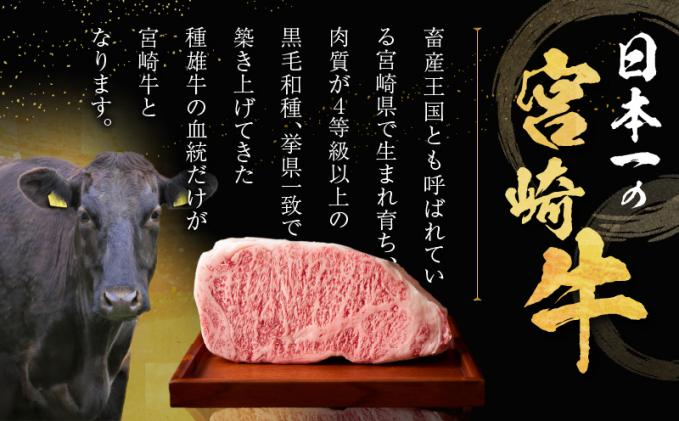 宮崎県都農町のふるさと納税 【2週間以内発送】数量限定≪生産者応援≫宮崎牛ロースステーキ(計500g) 肉 牛 牛肉 焼肉 国産_T030-0152-2W