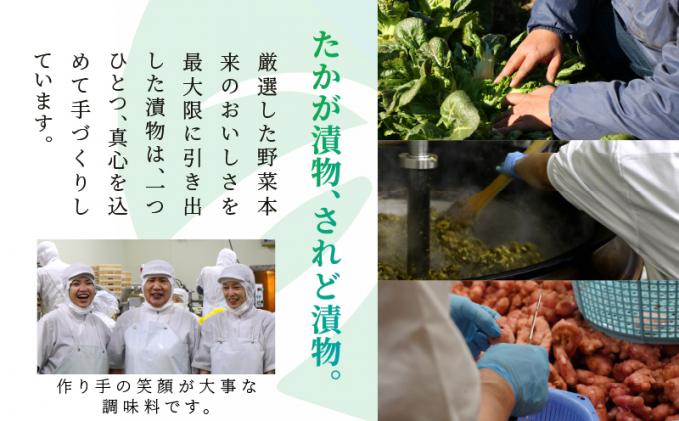 宮崎県都農町のふるさと納税 ＼ポスト投函/高菜油炒め100g つけもの おかず 野菜 加工品 国産_T037-005