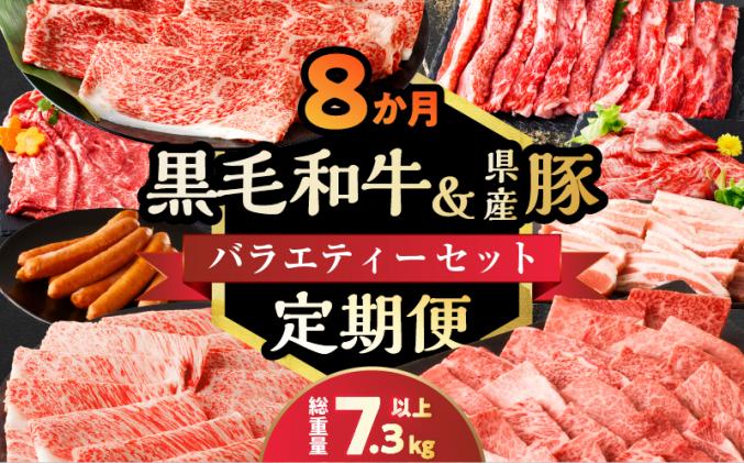 ≪8か月定期便≫黒毛和牛&県産豚バラエティーセット(総重量7.3kg以上) 肉 牛 牛肉 おかず 国産T030-145