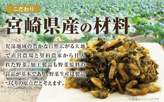 宮崎県都農町のふるさと納税 ＼ポスト投函/旨ごま高菜(150g) 漬物 おかず 野菜 加工品 国産_T025-010