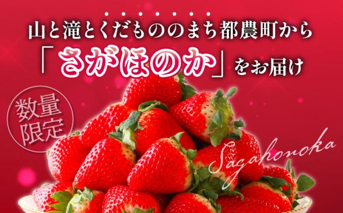 宮崎県都農町のふるさと納税 ≪数量限定≫都農町産いちご「さがほのか」計1kg フルーツ 果物 デザート イチゴ 国産_T015-0011
