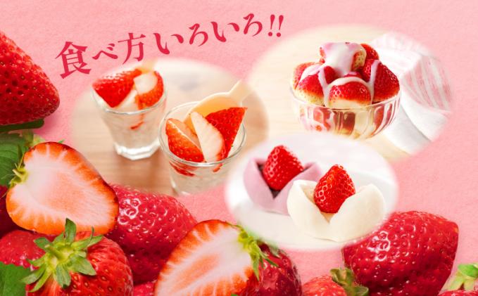 宮崎県都農町のふるさと納税 ≪数量限定≫都農町産いちご「さがほのか」計1kg フルーツ 果物 デザート イチゴ 国産_T015-0011