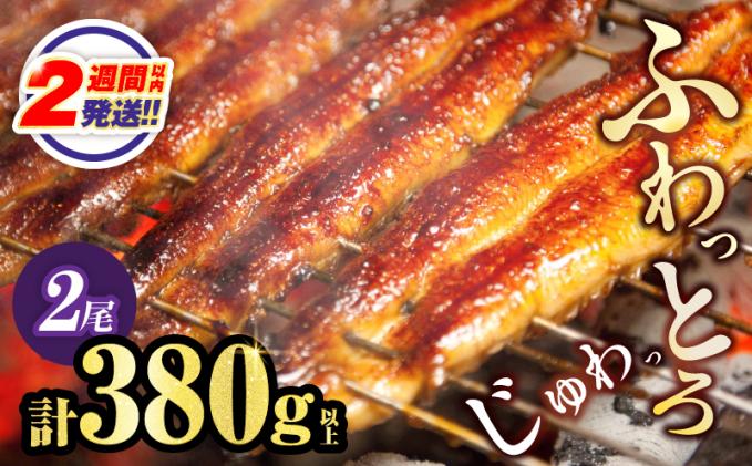 [2週間以内発送]うなぎ蒲焼特大2尾(さんしょう・たれ付き)計380g以上 鰻 魚 魚介 加工品 国産_T026-0069-2W