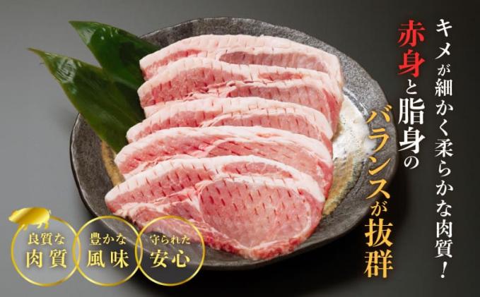 宮崎県都農町のふるさと納税 ≪宮崎ブランドポーク≫ロース(トンテキ・とんかつ用)計2kg 肉 豚 豚肉 国産_T023-013