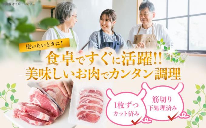 宮崎県都農町のふるさと納税 ≪宮崎ブランドポーク≫ロース(トンテキ・とんかつ用)計2kg 肉 豚 豚肉 国産_T023-013