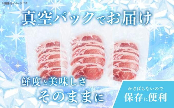 宮崎県都農町のふるさと納税 ≪宮崎ブランドポーク≫ロース(トンテキ・とんかつ用)計2kg 肉 豚 豚肉 国産_T023-013