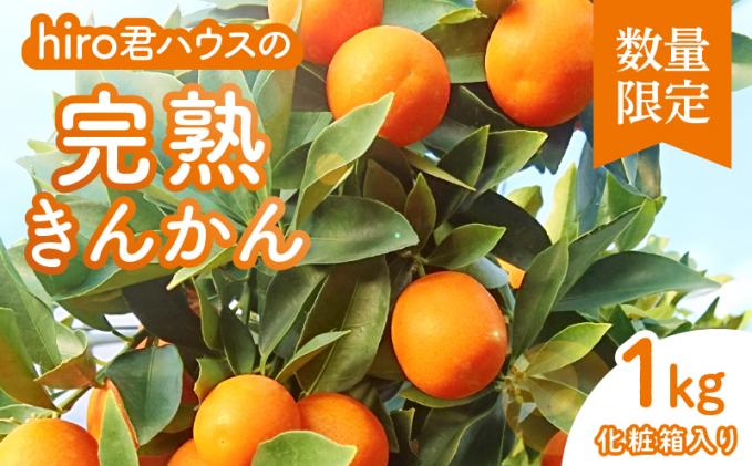 先行予約≪数量限定≫hiro君ハウスの『完熟きんかん(計1kg)』化粧箱入り フルーツ 果物 金柑 国産