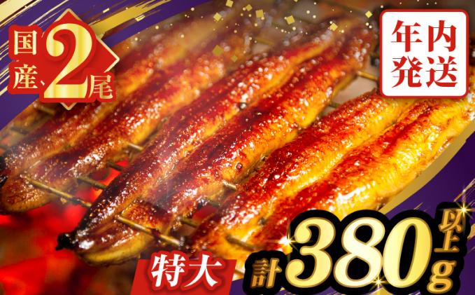 宮崎県都農町のふるさと納税 【年内発送】うなぎ蒲焼特大2尾(さんしょう・たれ付き)計380g以上 鰻 魚 魚介 加工品 国産_T026-0061-12