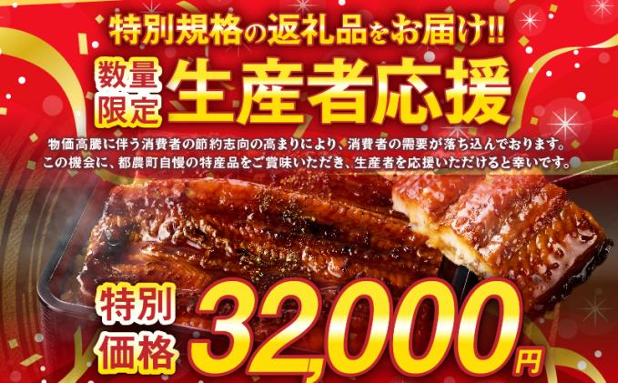 宮崎県都農町のふるさと納税 【年内発送】【数量・期間限定 特別規格】うなぎ蒲焼5尾(さんしょう・たれ付き)計800g以上 鰻 魚 魚介 加工品 国産_T026-0032-12