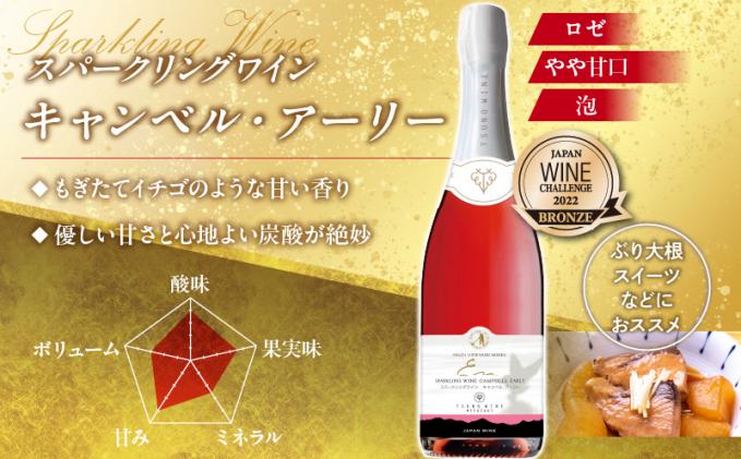 スパークリングワイン飲み比べ3本セット 酒 飲料 アルコール 国産_T014
