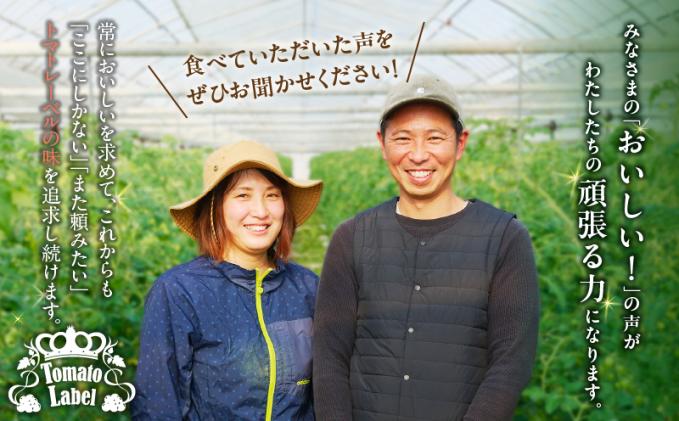 宮崎県都農町のふるさと納税 ≪数量限定≫オレンジリトル(合計2㎏) ミニトマト 野菜 サラダ 国産_T040-0011-ZO