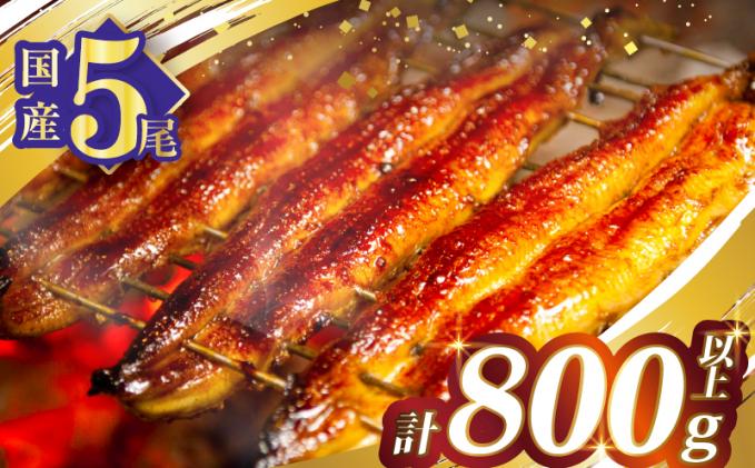 宮崎県都農町のふるさと納税 うなぎ蒲焼5尾(さんしょう・たれ付き)計800g以上 鰻 魚 魚介 加工品 国産_T026-003