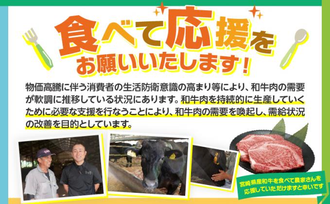 宮崎県都農町のふるさと納税 ≪肉質等級4等級以上≫宮崎牛ロースステーキ(計1kg) 肉 牛 牛肉 焼肉 国産_T030-1083