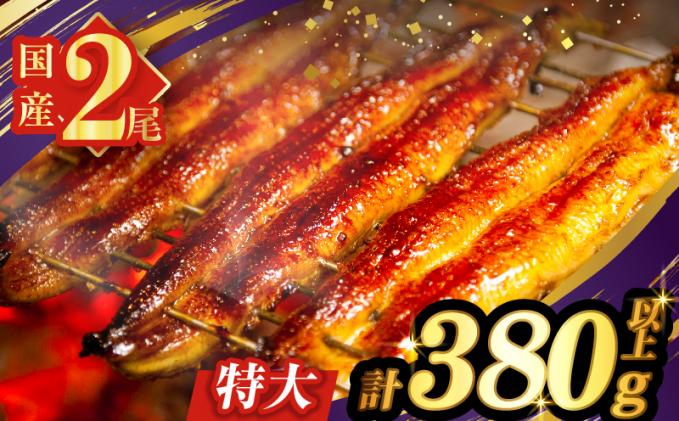 宮崎県都農町のふるさと納税 うなぎ蒲焼特大2尾(さんしょう・たれ付き)計380g以上 鰻 魚 魚介 加工品 国産_T026-0061