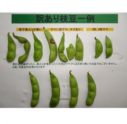 Zc10 訳あり 枝豆 茶豆風味 約1 5kg ご家庭用 都農町産 宮崎県都農町 セゾンのふるさと納税