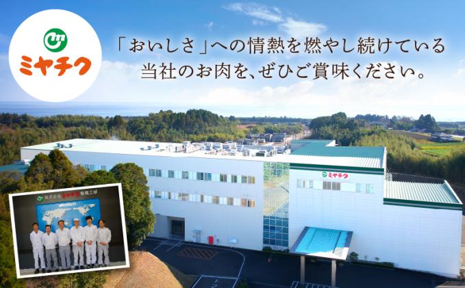 宮崎県都農町のふるさと納税 ≪6か月お楽しみ定期便≫宮崎牛味わい尽くしセット(総重量3.4kg) 肉 牛 牛肉 おかず 国産_T030-065