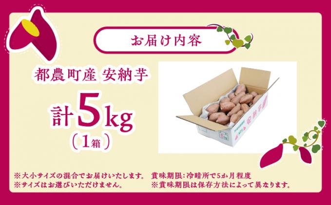 宮崎県都農町のふるさと納税 ≪期間限定≫都農町産安納芋(計5kg) 野菜 芋 イモ 国産_T016-001