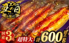 【丑の日までにお届け!!】うなぎ蒲焼特大3