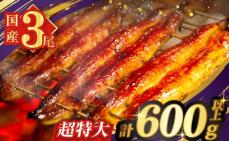 うなぎ蒲焼特大3尾(さんしょう・たれ付き)