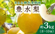 先行予約≪期間限定≫まるみ観光果樹園の『豊