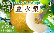 ≪期間限定≫まるみ観光果樹園の『豊水梨』(