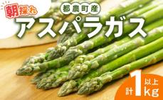 ≪期間限定≫都農町産アスパラガス(計1kg