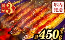【年内発送】うなぎ蒲焼3尾(さんしょう・た