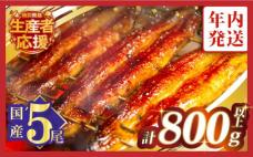 【年内発送】【数量・期間限定 特別規格】う