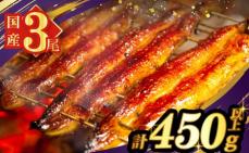 うなぎ蒲焼3尾(さんしょう・たれ付き)計4