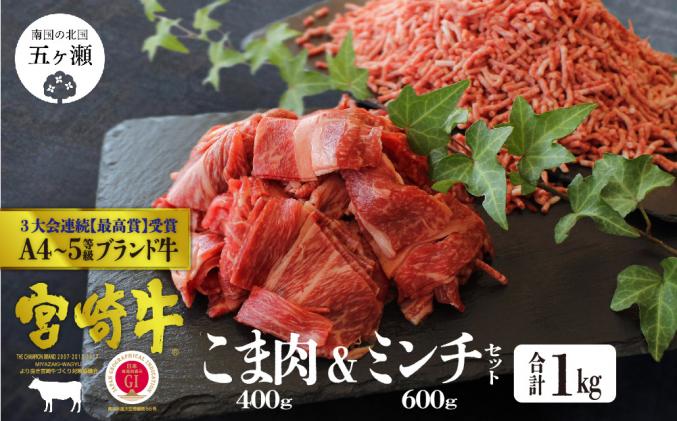 宮崎牛こま肉 ミンチセット 合計1 こま肉400ℊ ミンチ600ℊ 宮崎県五ヶ瀬町 セゾンのふるさと納税