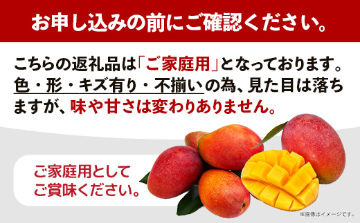 沖縄県八重瀬町のふるさと納税 【先行受付】【2026年発送】光マンゴー園の家庭用アップルマンゴー約2kg(4～6玉)白箱 - ご自宅用 先行予約 沖縄県産 産地直送 南国フルーツ 旬の味覚 オススメ 沖縄県 八重瀬町