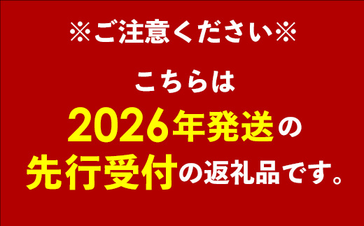 沖縄県八重瀬町のふるさと納税 【先行受付】【2026年発送】光マンゴー園の家庭用アップルマンゴー約2kg(4～6玉)白箱 - ご自宅用 先行予約 沖縄県産 産地直送 南国フルーツ 旬の味覚 オススメ 沖縄県 八重瀬町