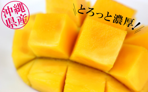 先行受付】【2026年発送】ヤマト農園 アップルマンゴー訳あり約1.5kg(3