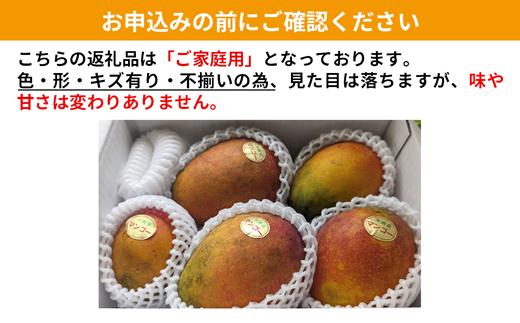 先行受付】【2026年発送】ヤマト農園 アップルマンゴー訳あり約1.5kg(3
