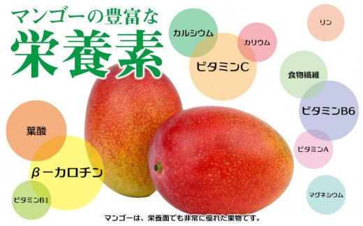 沖縄県八重瀬町のふるさと納税 【先行受付】【2024年発送】とうはらマンゴー園の美味しいマンゴー秀品(特上)約2kg
