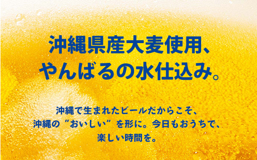 沖縄県八重瀬町のふるさと納税 【オリオンビール】オリオン ザ・ドラフト<350ml×24缶>-ビール オリオン ビール 1ケース 350ml 24本 すっきり 飲みやすい こだわり 改良 リニューアル おすすめ 沖縄県 八重瀬町 【価格改定YI】