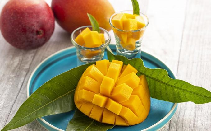 23年発送 神谷ファームのマンゴー 秀 約1 5kg 沖縄県八重瀬町 セゾンのふるさと納税