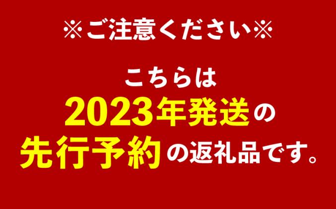 高価値】 ふるさと納税 神谷ファームのマンゴー 極 約1.5Kg 沖縄県八重瀬町 highartegypt.com