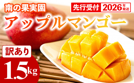 沖縄県八重瀬町のふるさと納税 【先行受付】【2026年発送】南の果実園 アップルマンゴー 訳あり品 1.5kg(3～7玉)- 先行予約 沖縄県産 産地直送 南国フルーツ 旬の味覚 季節の果物 ご自宅用 家庭用 沖縄県 八重瀬町