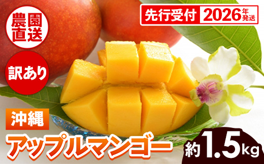 先行受付】【2026年発送】ヤマト農園 アップルマンゴー訳あり約1.5kg(3