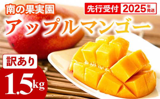 沖縄県八重瀬町のふるさと納税 【先行受付】【2025年発送】南の果実園 アップルマンゴー 訳あり品1.5kg(3～6玉)