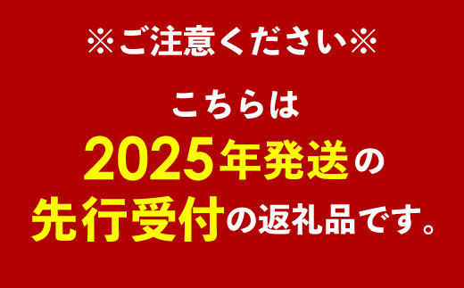 沖縄県八重瀬町のふるさと納税 【先行受付】【2025年発送】南の果実園 アップルマンゴー 訳あり品1.5kg(3～6玉)