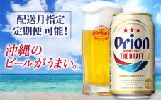 ★期間限定価格★【オリオンビール】オリオン