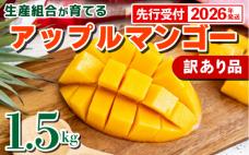 【先行受付】【2026年発送】生産組合が育