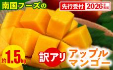 【先行受付】【2026年発送】南国フーズのアップルマンゴー 訳アリ約1.5kg - 先行予約 沖縄県産 産地直送 南国フルーツ 旬の味覚 ご家庭用 ご自宅用 沖縄マンゴー 沖縄県 八重瀬町