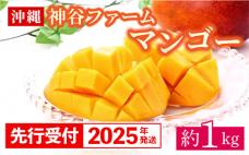【先行受付】【2025年発送】神谷ファームのマンゴー(家庭用)約1Kg - 先行予約 沖縄県産 産地直送 南国フルーツ 旬の味覚 季節の果物 ご自宅用 沖縄マンゴー 沖縄県 八重瀬町
