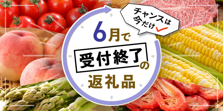 6月受付終了特集