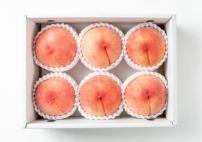 【先行予約受付】和歌山県産の美味しい桃 約