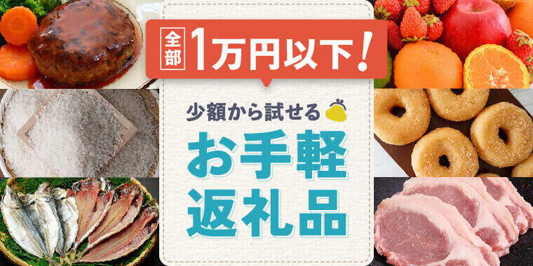 お手軽返礼品特集(1万円未満)